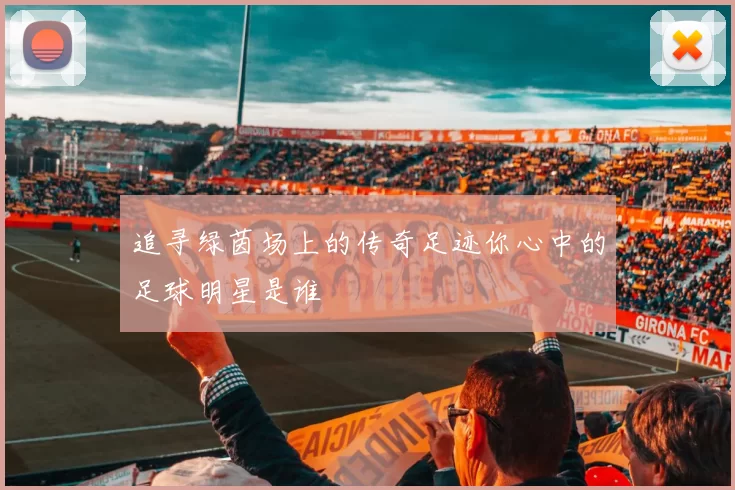 追寻绿茵场上的传奇足迹你心中的足球明星是谁